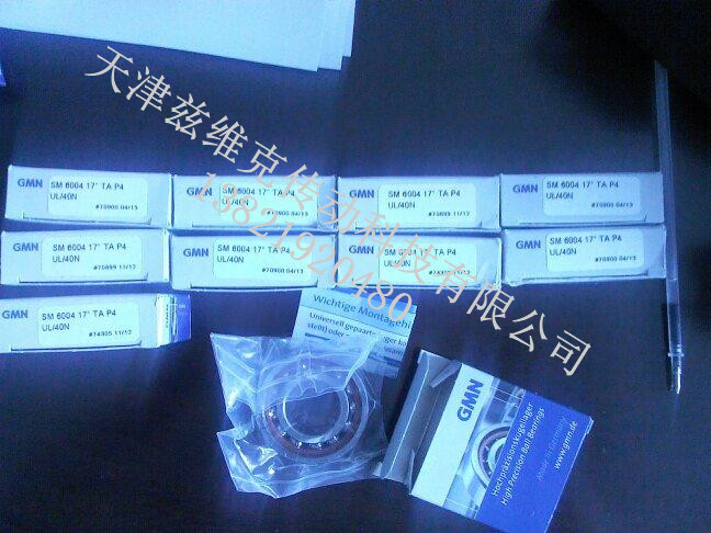 德國GMN軸承 德國GMN軸承