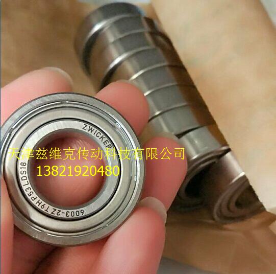 ZWICKER 6003-2Z T9H P53軸承 ZWICKER 6003-2Z T9H P53軸承