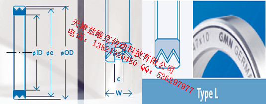 GMNL100X120X14油封圖紙