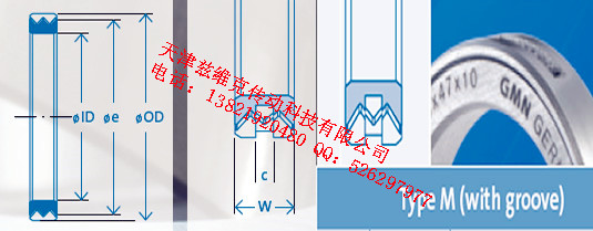 GMNM90X110X10油封圖紙